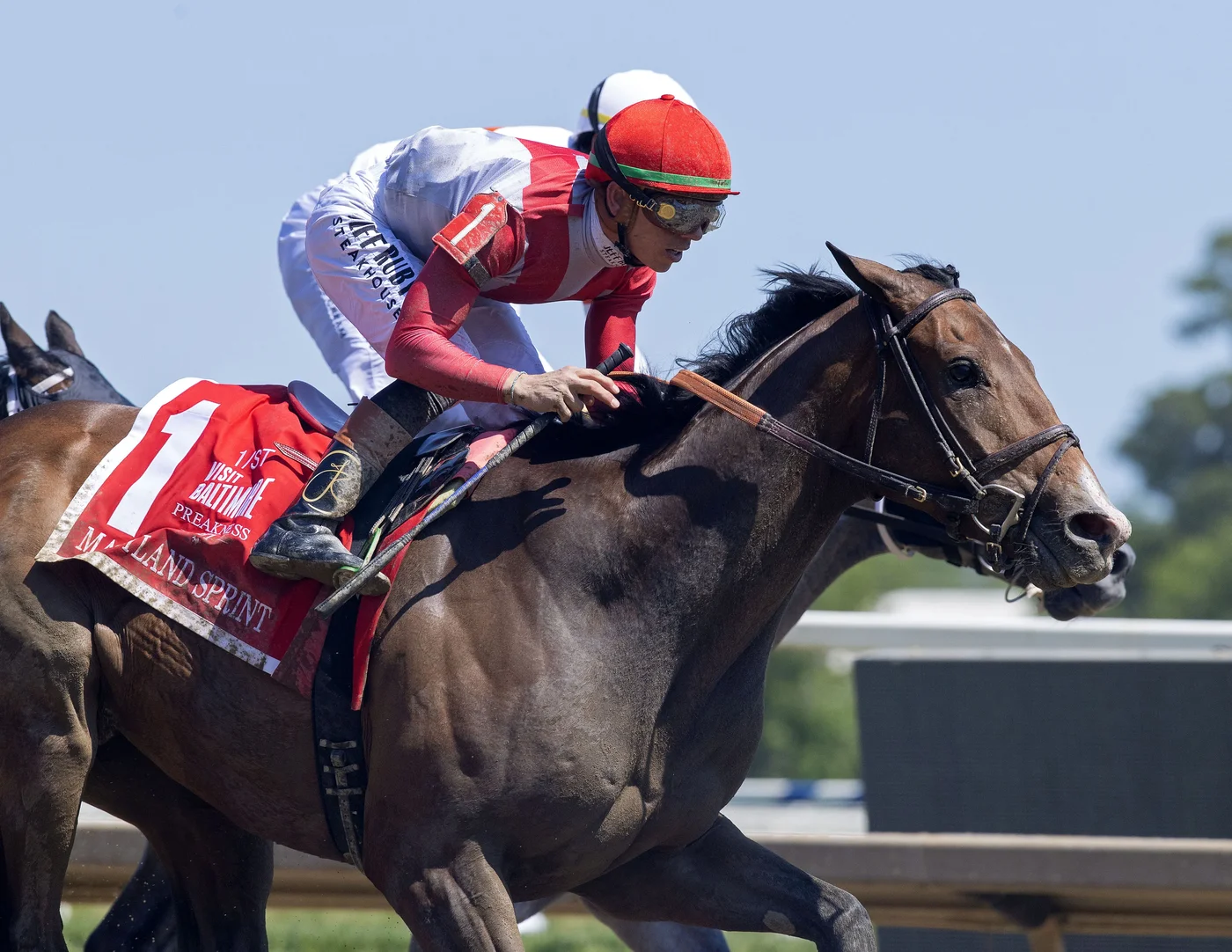 Bring the Smoke Proves a Solid Purchase with Maryland Sprint Victory