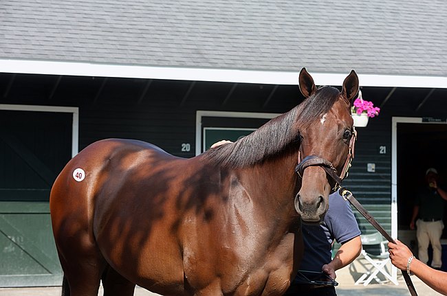 Mallory Consigns First Million-Dollar Yearling. Candy Ride filly sells to Legion Bloodstock and Gracie Bloodstock for $1,075,000.