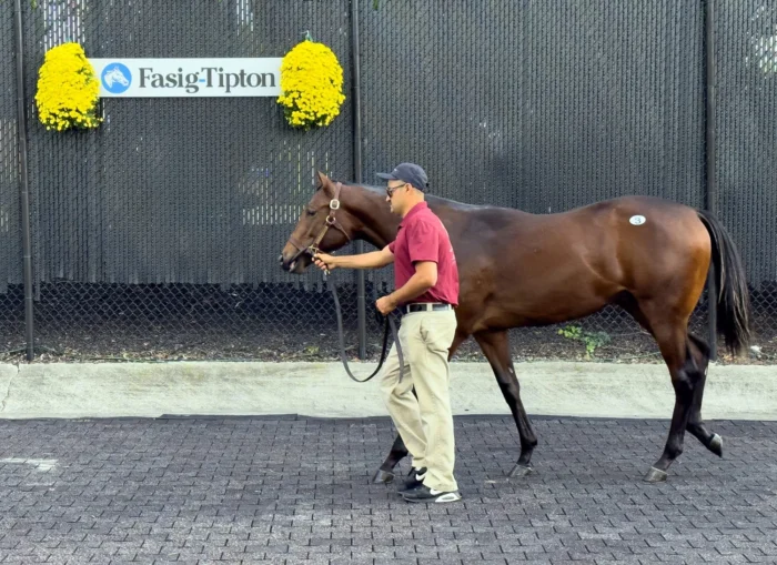 Classic Empire Colt Tops Fasig Midlantic Opener